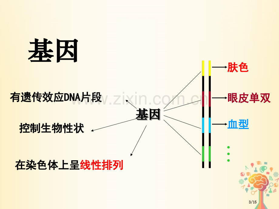 高中生物第四章基因的表达4.1基因指导蛋白质的合成市赛课公开课一等奖省名师优质课获奖PPT课件.pptx_第3页