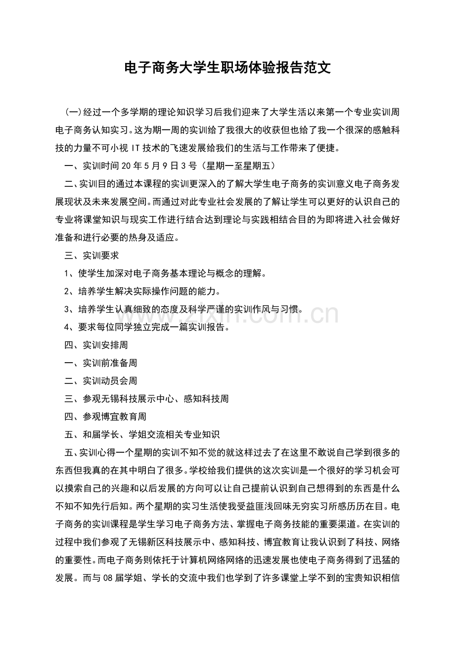 电子商务大学生职场体验报告范文.docx_第1页