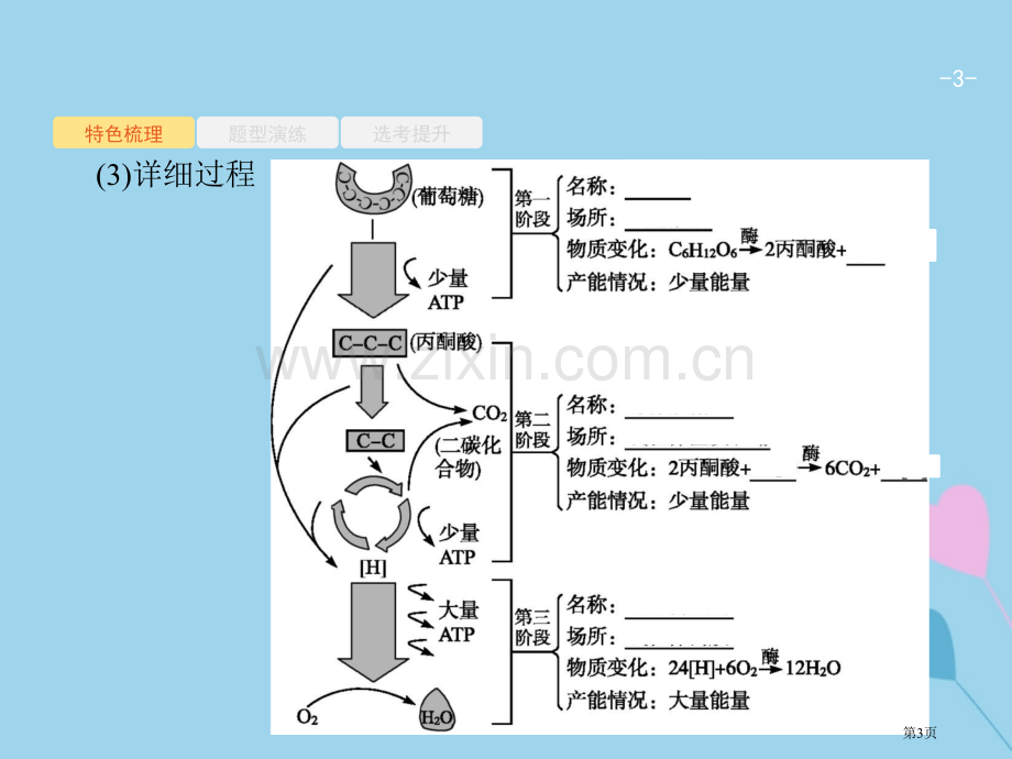 高考生物复习细胞的代谢4细胞呼吸全国公开课一等奖百校联赛示范课赛课特等奖PPT课件.pptx_第3页