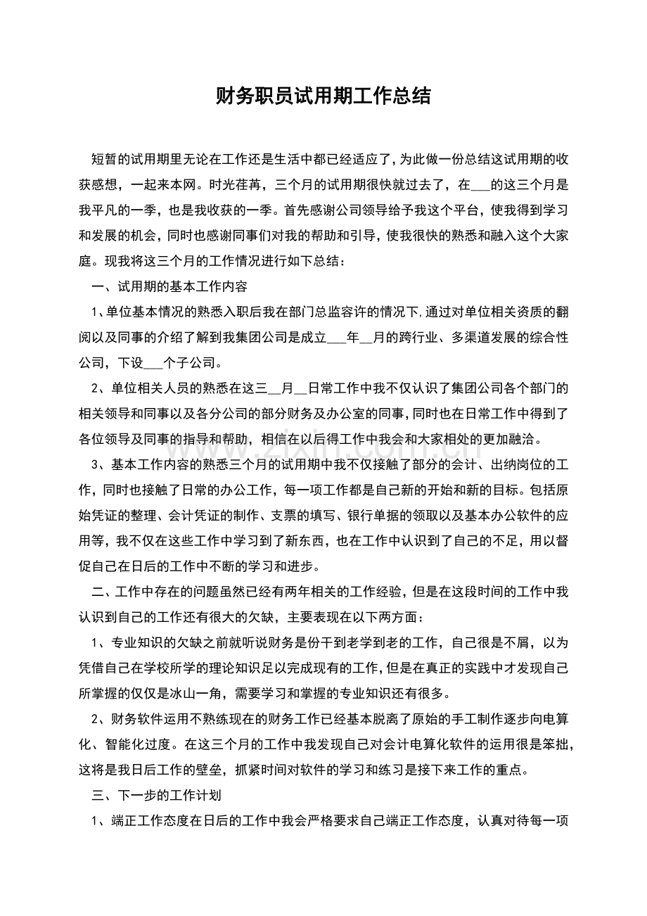 财务职员试用期工作总结.docx_第1页