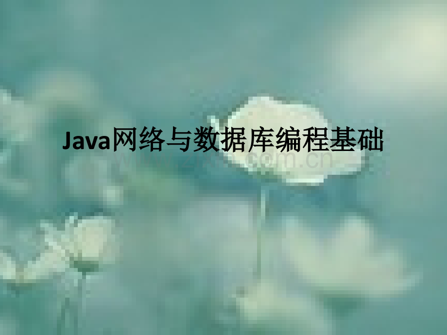 14Java网络与数据库编程基础(ppt-课件).pptx_第1页