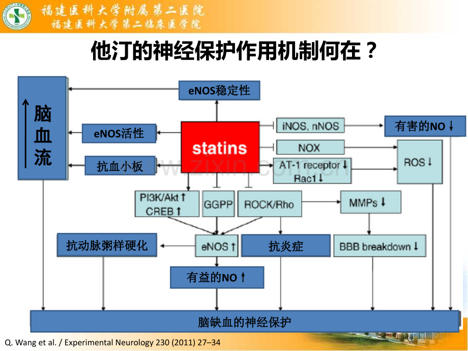 卒中指南-关于他汀的建议及证据来源-0826-new-22.ppt_第2页