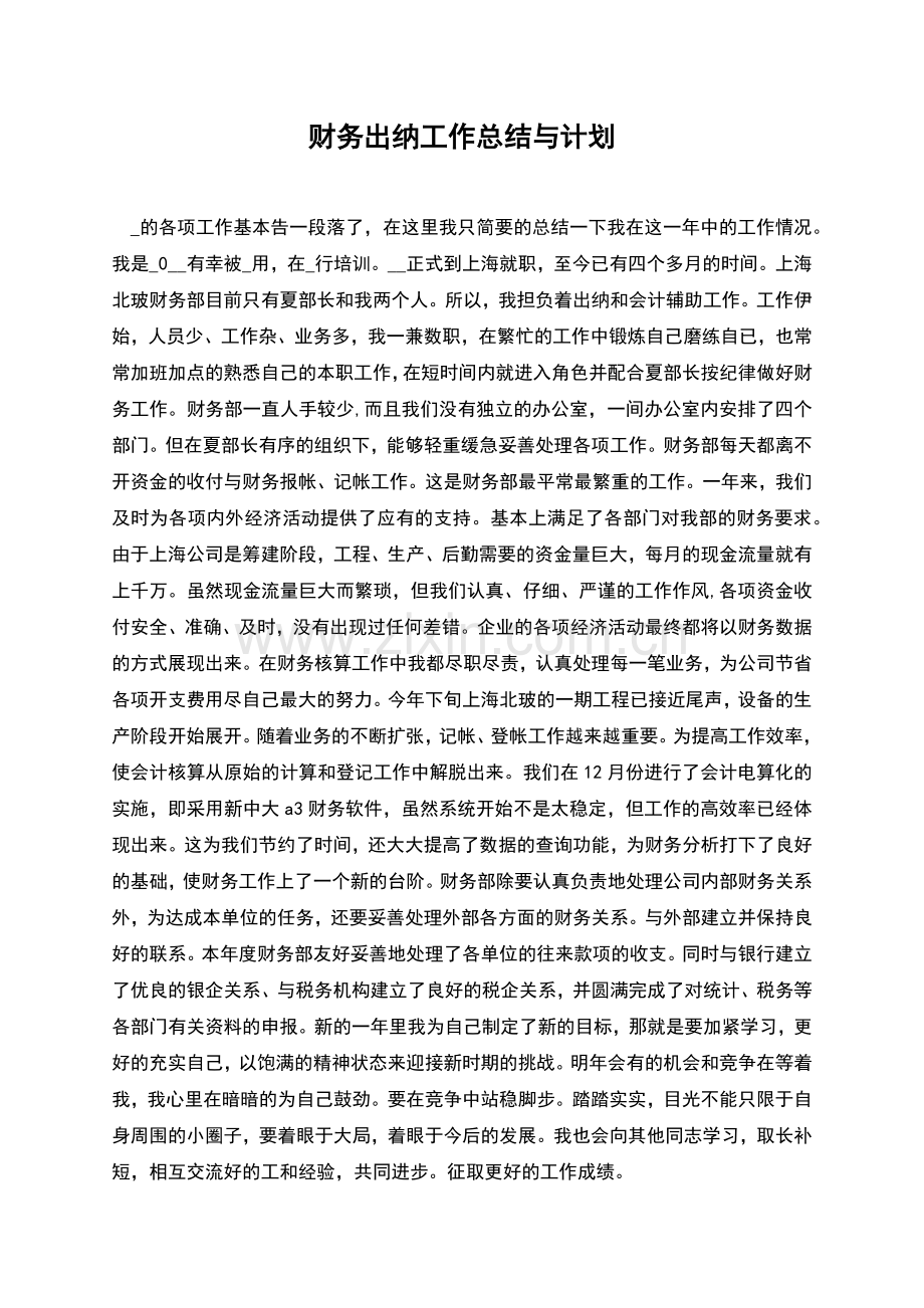 财务出纳工作总结与计划.docx_第1页