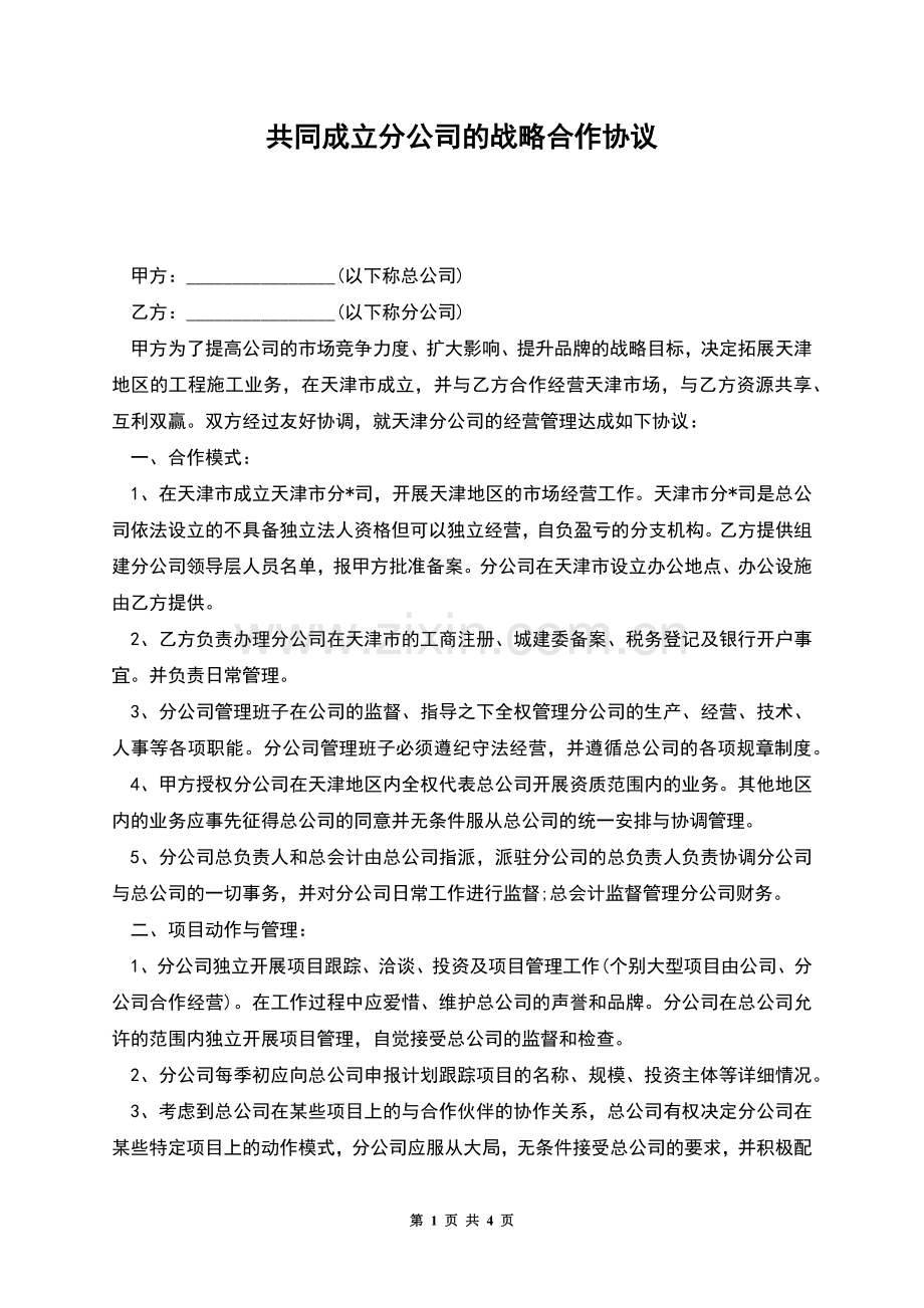 共同成立分公司的战略合作协议.docx_第1页