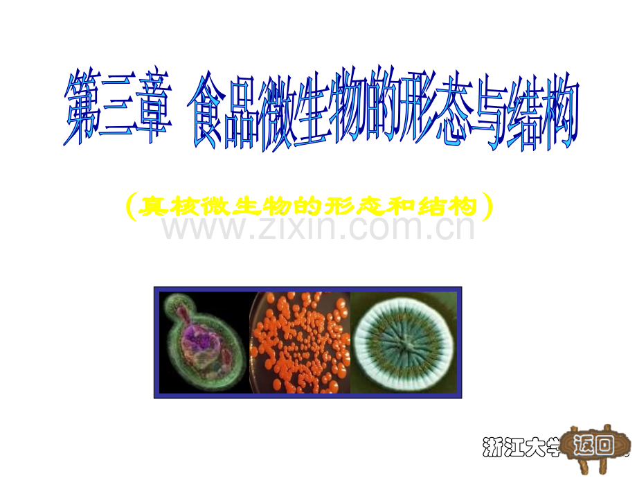 浙江大学食品微生物第2部分共四部分.ppt_第2页