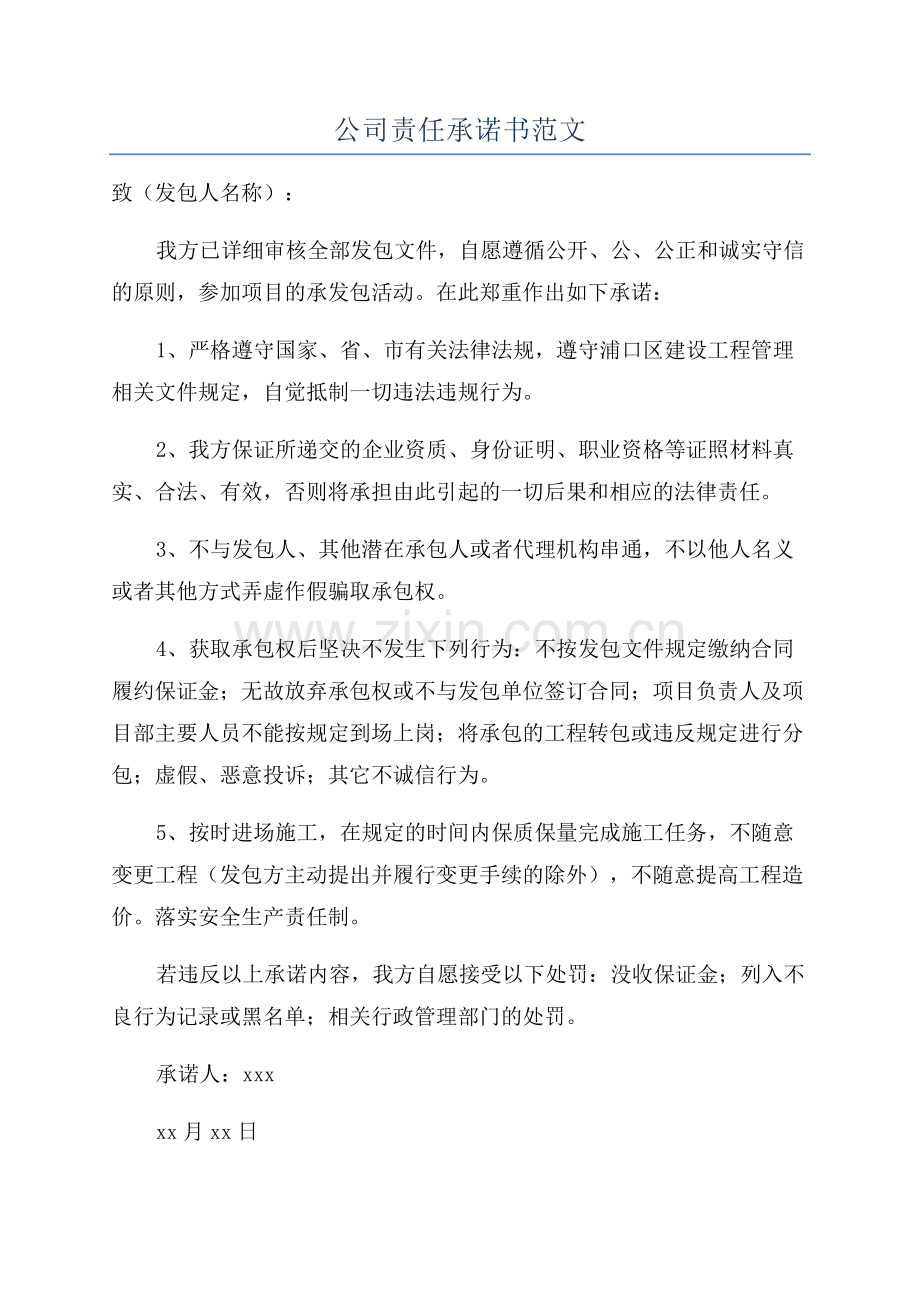 公司责任承诺书范文.docx_第1页