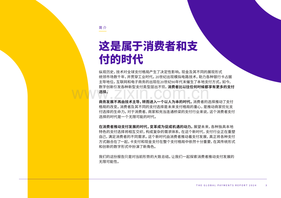 2024全球支付报告（第九版）.pdf_第3页