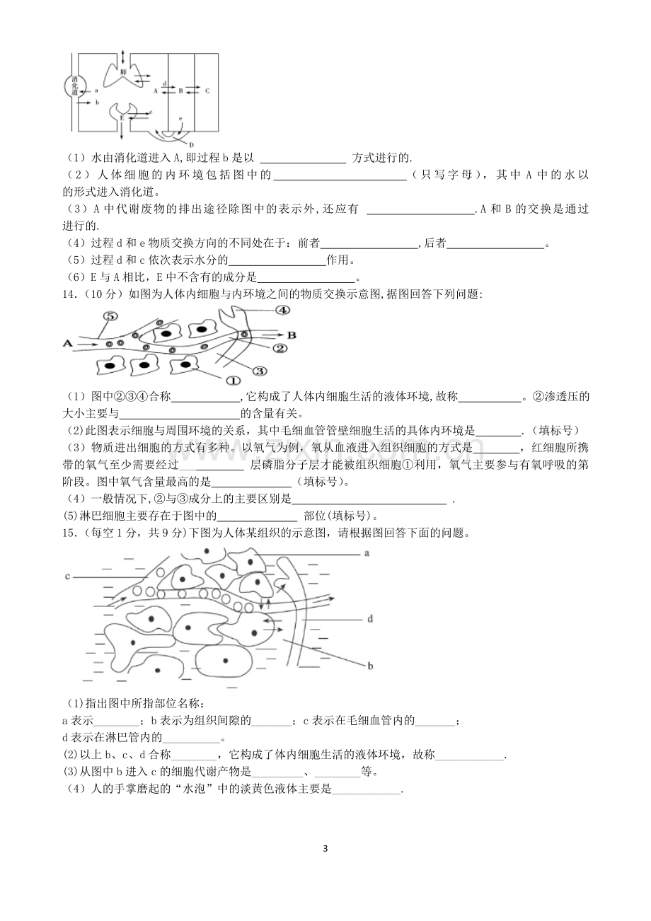 内环境及稳态习题及答案.doc_第3页