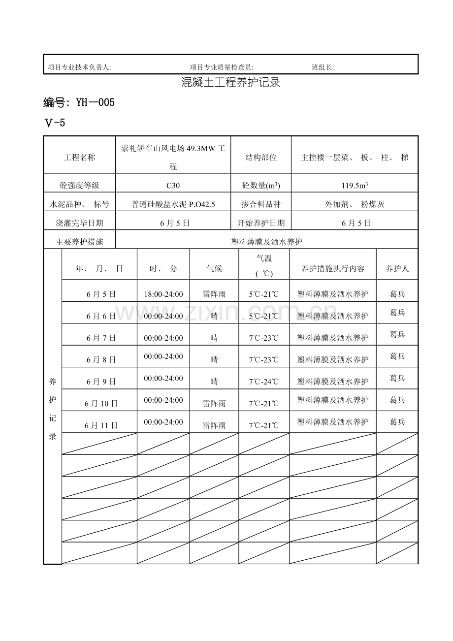 混凝土工程养护记录模板.doc_第2页