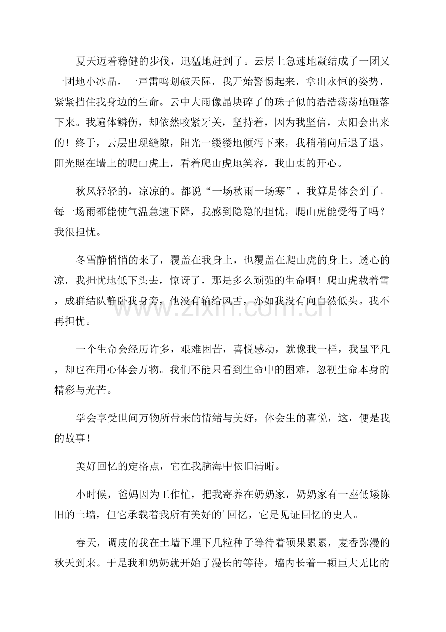 墙的故事作文600字(优秀5篇).docx_第3页