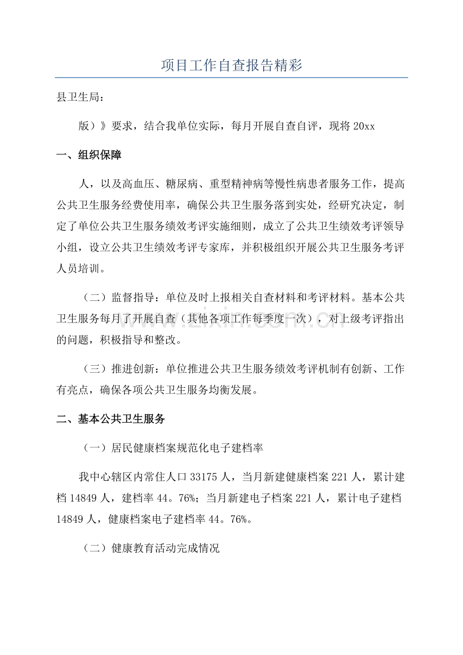 项目工作自查报告精彩.docx_第1页