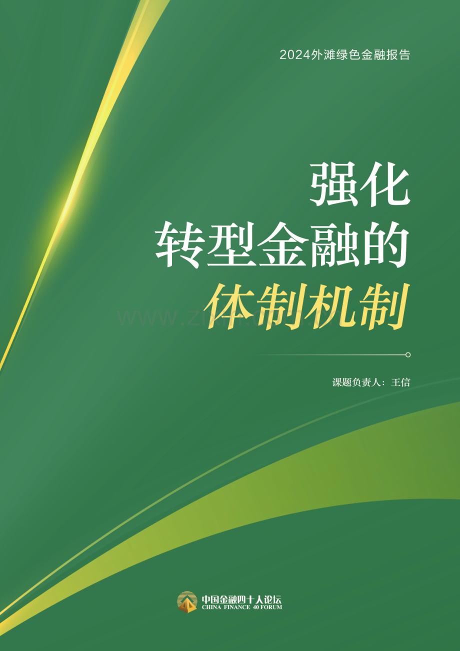 2024年强化转型金融的体制机制.pdf_第1页