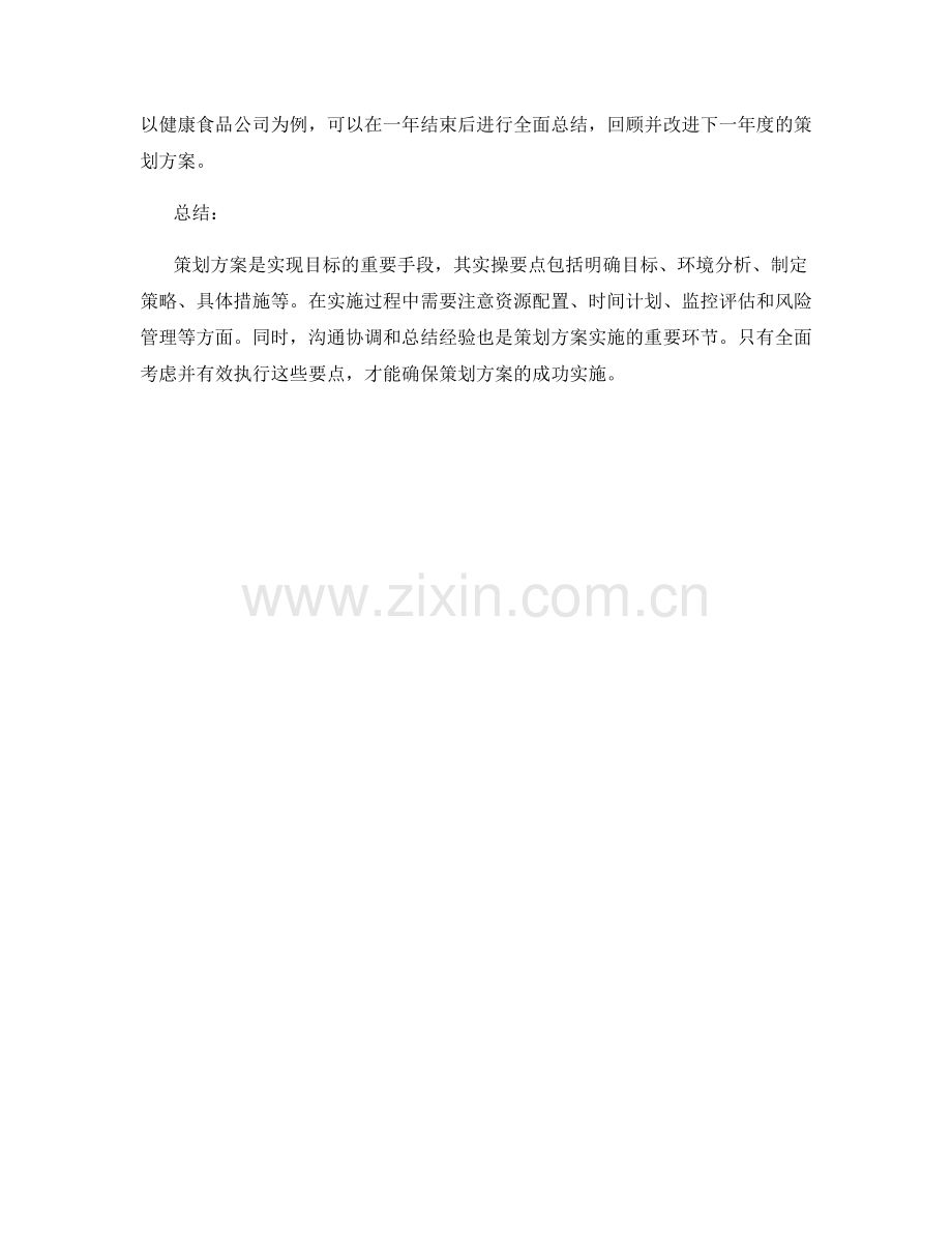 策划方案的实操要点与实例分析.docx_第3页