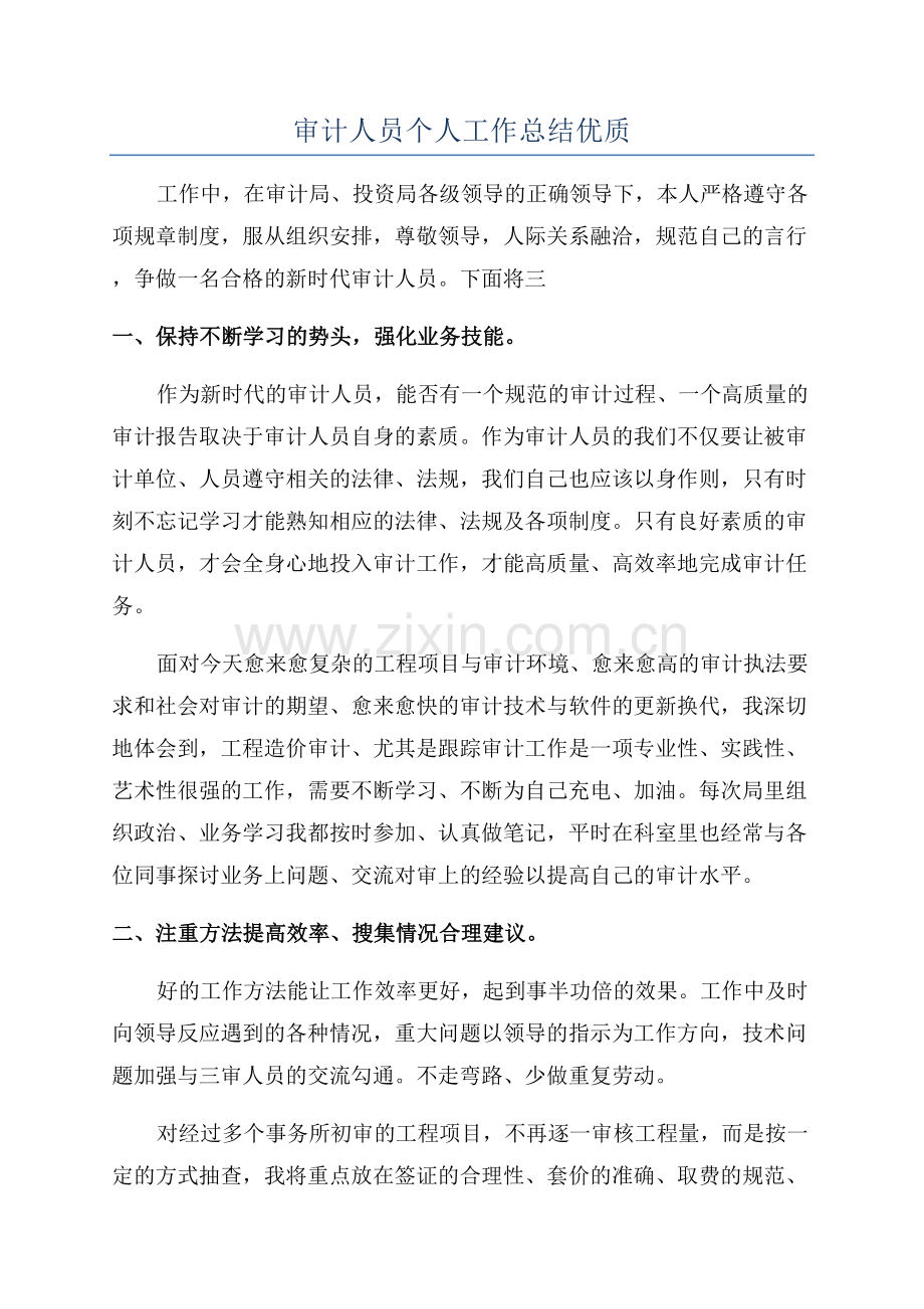 审计人员个人工作总结优质.docx_第1页