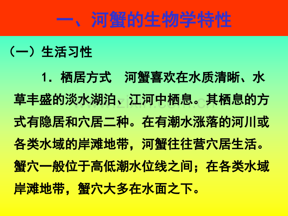 河蟹的养殖技术.ppt_第2页