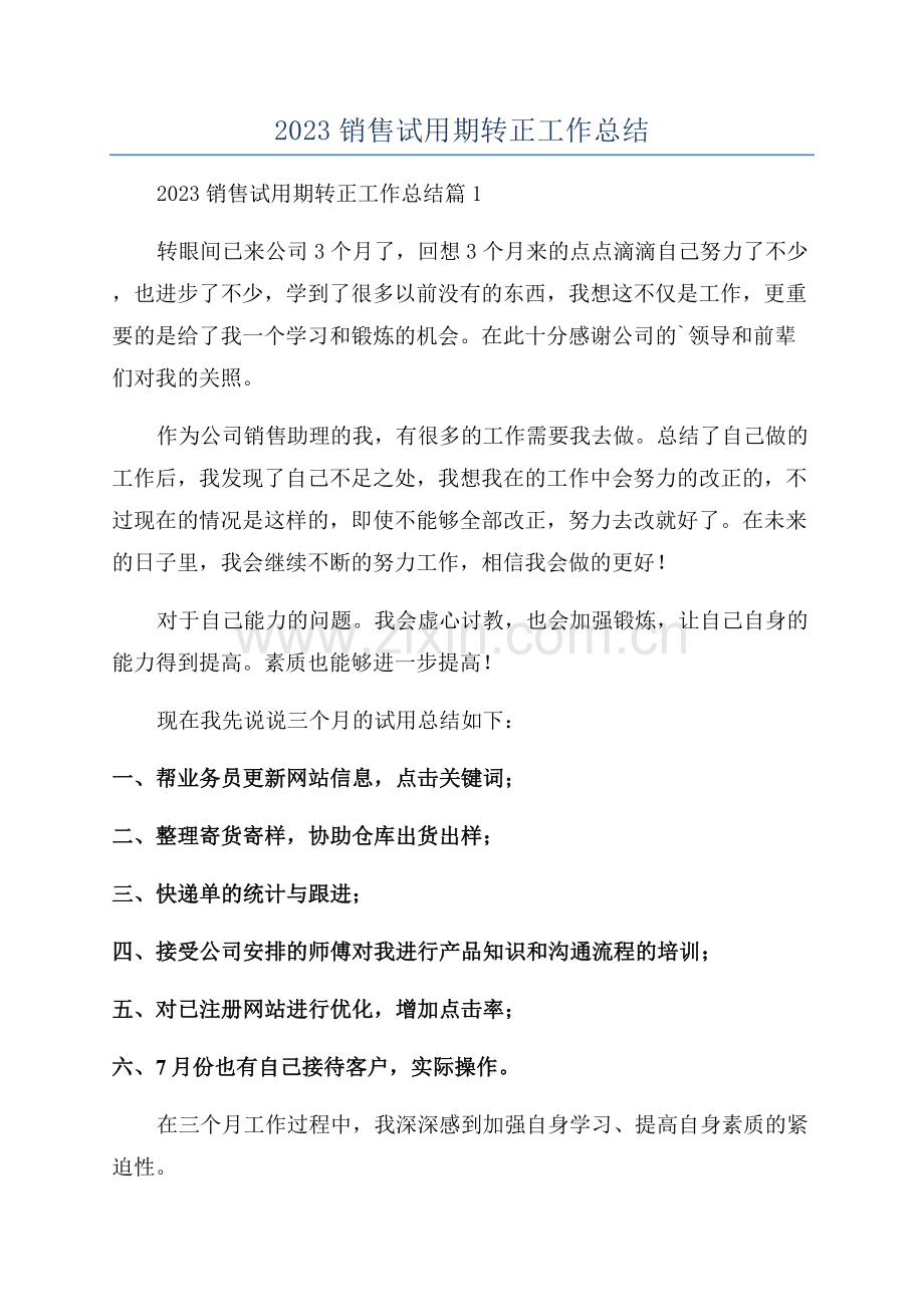 2023销售试用期转正工作总结.docx_第1页