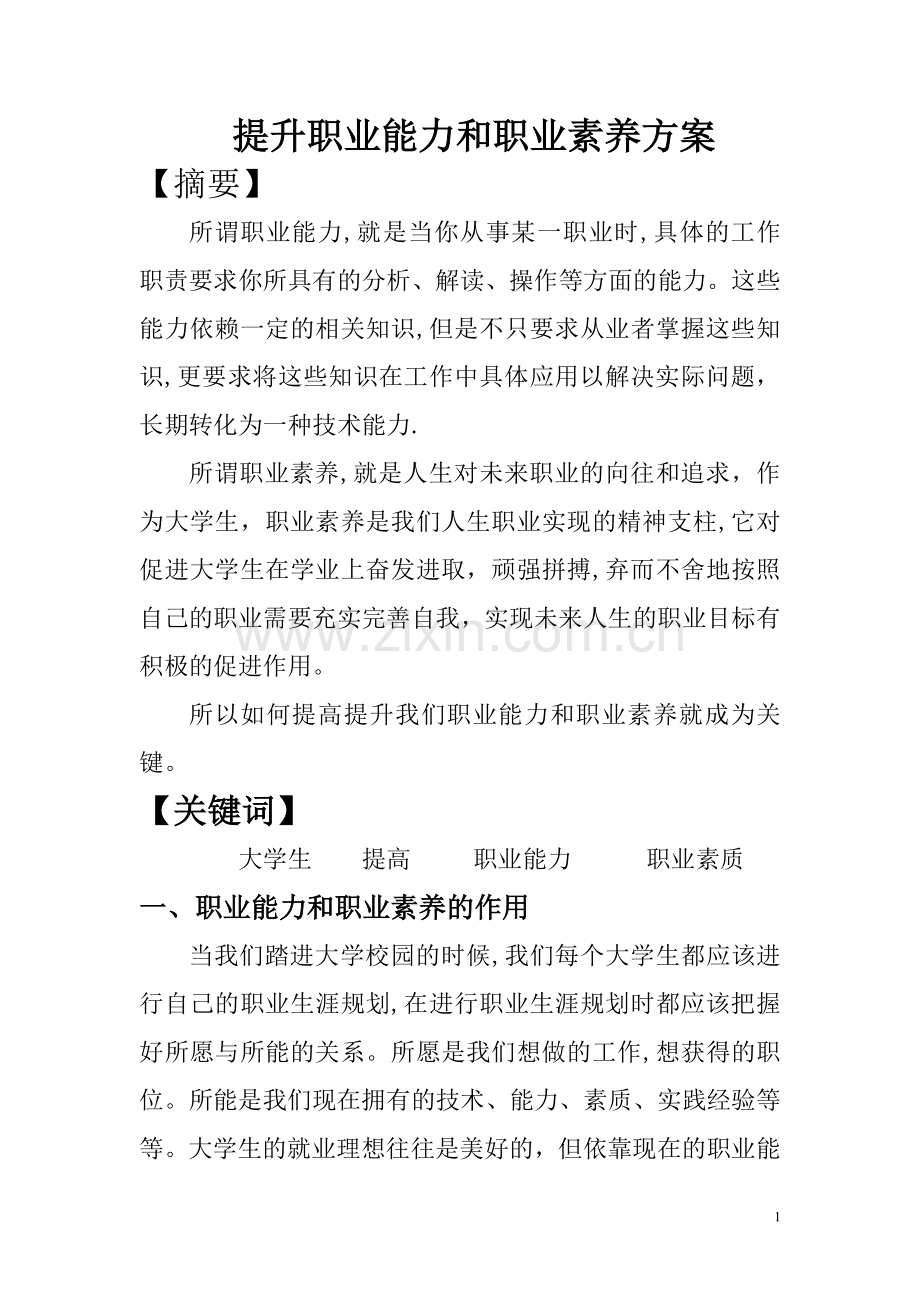 提升职业能力和职业素养方案.doc_第1页