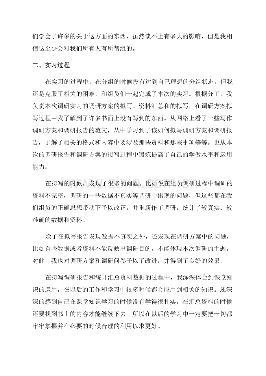 市场调查个人实习工作总结范文.docx_第3页