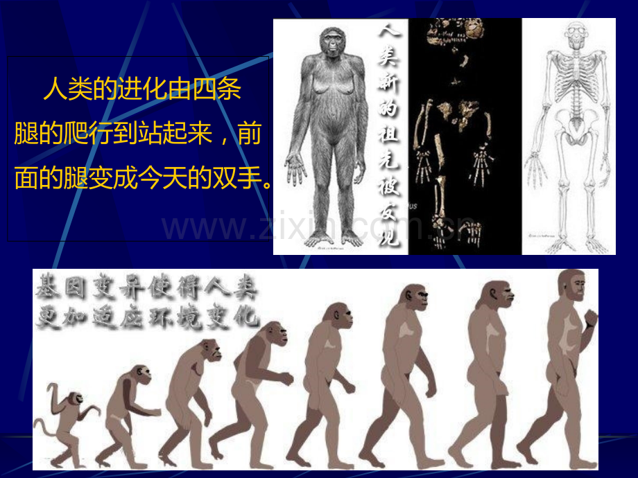 浅谈脊柱疾病-脊源性疾病-健康管理.ppt_第3页