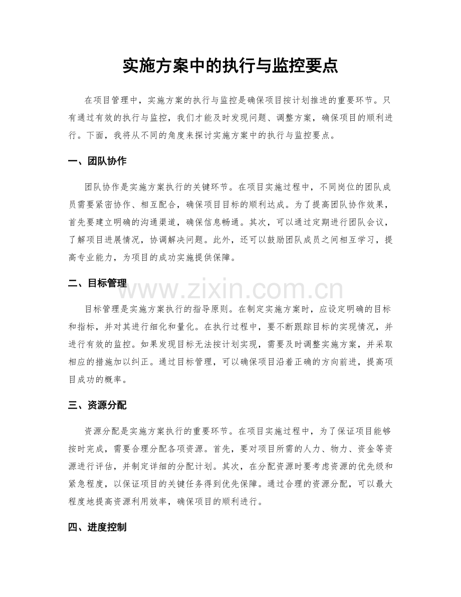 实施方案中的执行与监控要点.docx_第1页