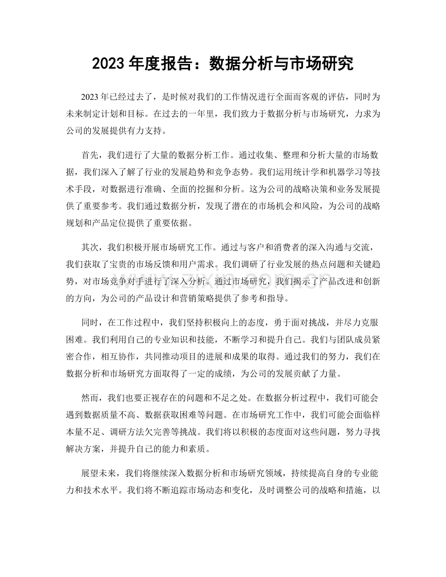 2023年度报告：数据分析与市场研究.docx_第1页