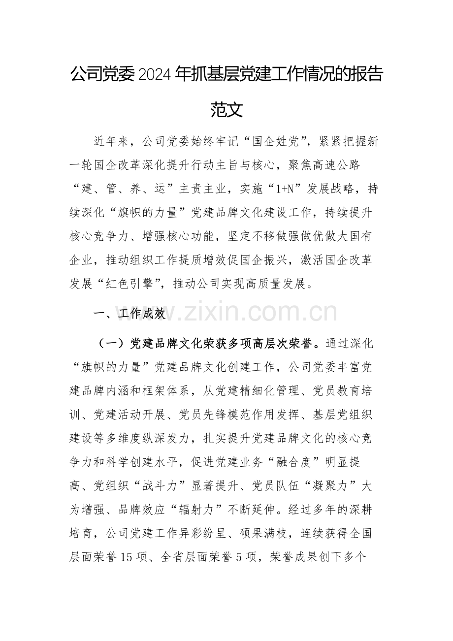 公司党委2024年抓基层党建工作情况的报告范文.docx_第1页