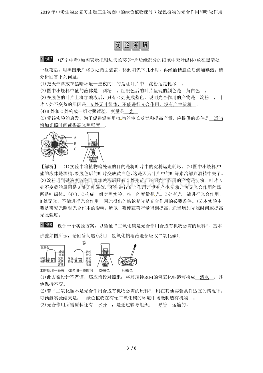 2019年中考生物总复习主题三生物圈中的绿色植物课时7绿色植物的光合作用和呼吸作用.doc_第3页