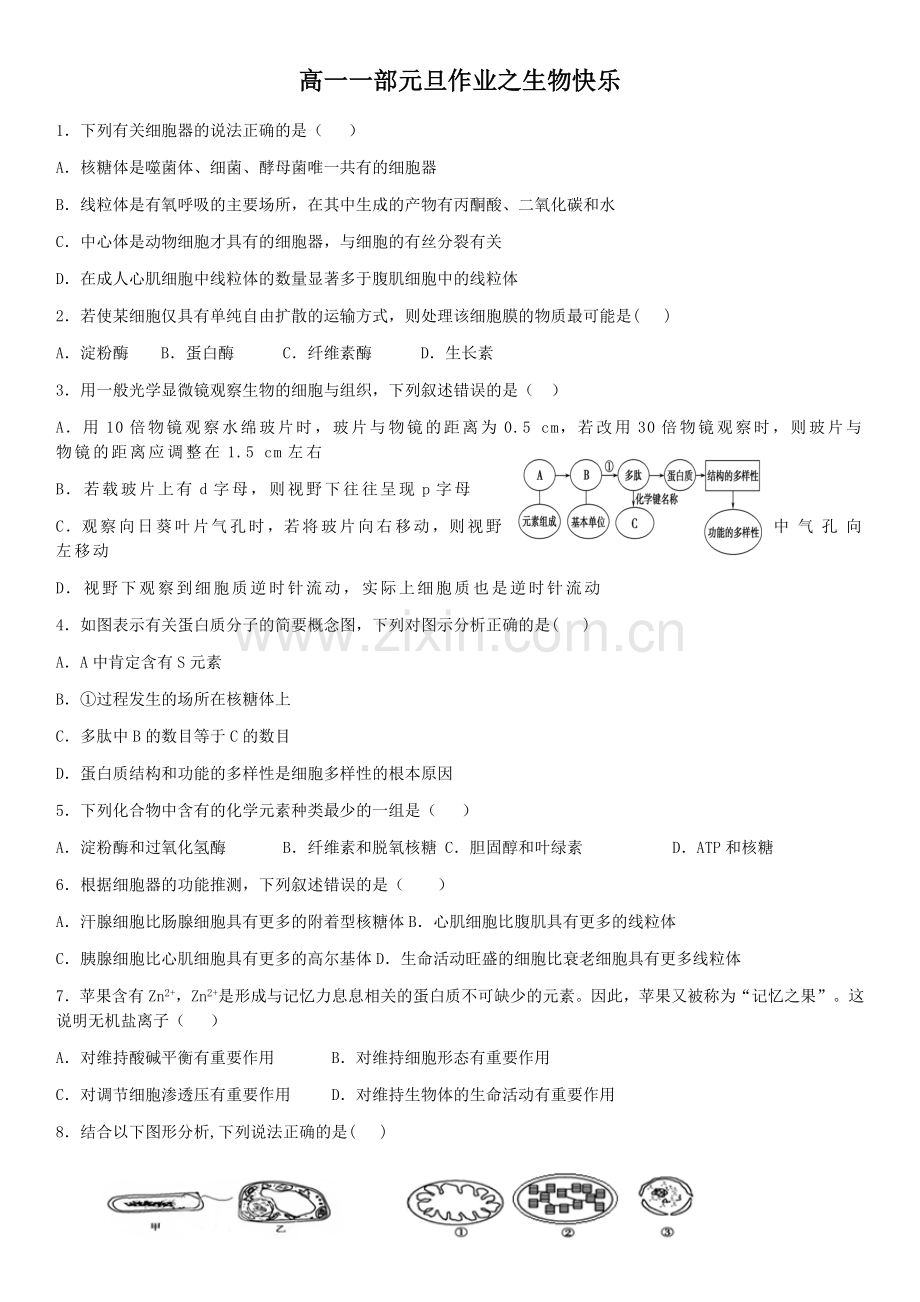 高一生物必修一期末考试模拟题含答案.doc_第1页