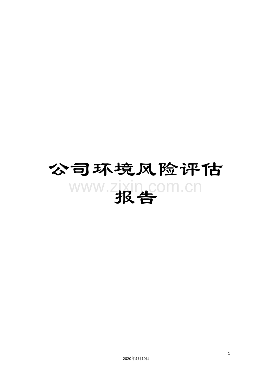 公司环境风险评估报告.doc_第1页