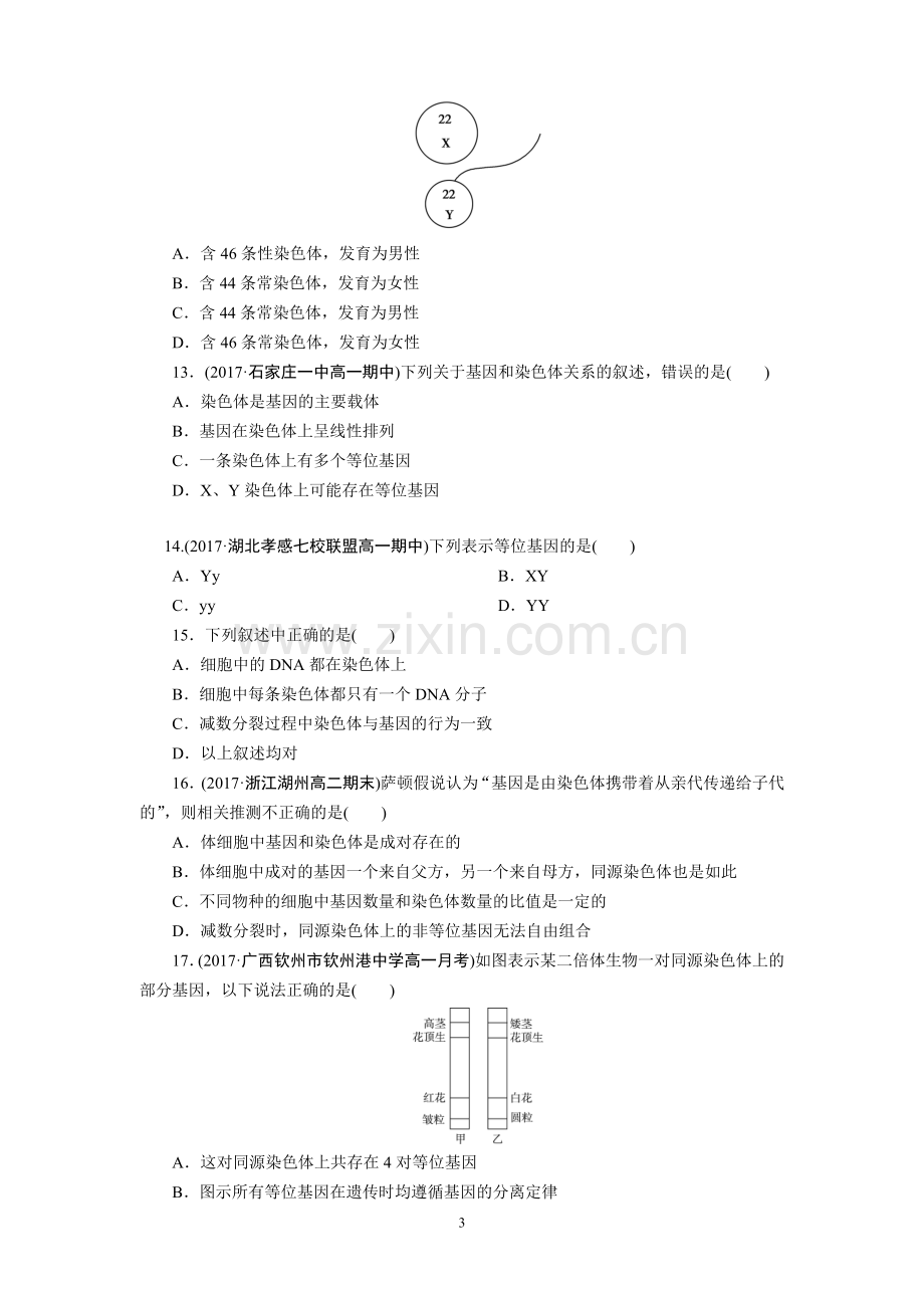 人教版高中生物必修二第2章基因和染色体的关系单元测试题(含答案).doc_第3页