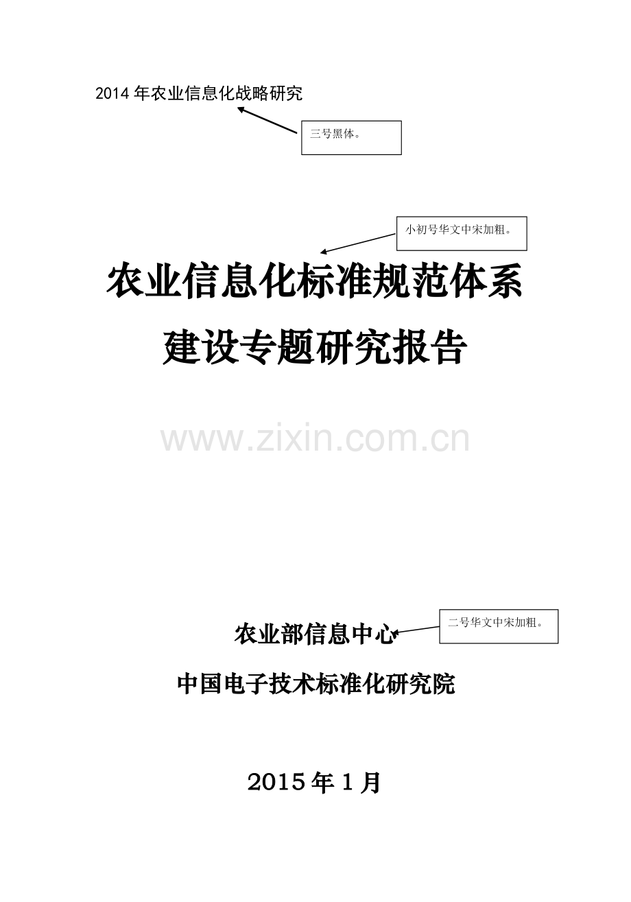 农业信息化战略研究报告格式模板农业信息化标准规范体系研究.doc_第1页