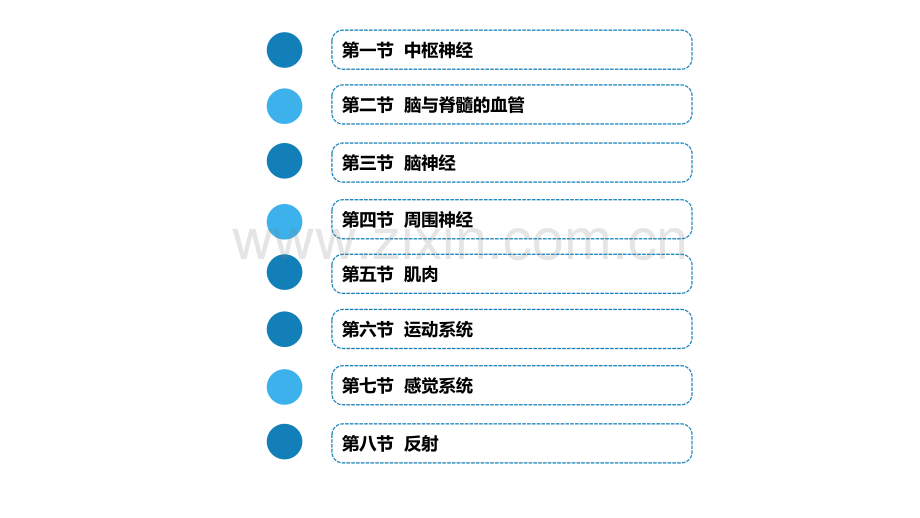 新版神经系统的解剖生理及病损的定位诊断.ppt_第2页