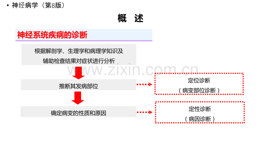 新版神经系统的解剖生理及病损的定位诊断.ppt_第3页