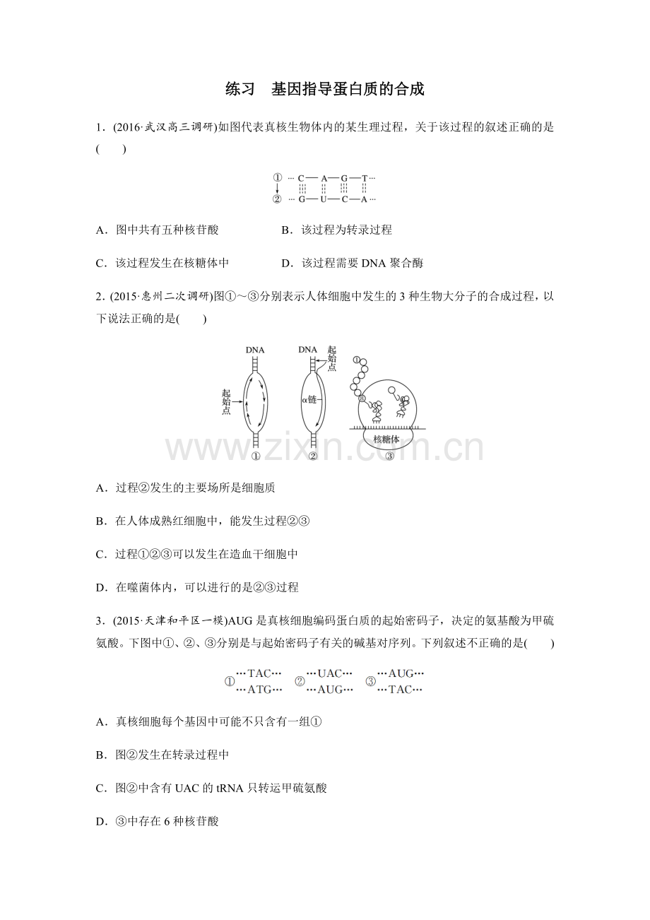 人教版必修二第四章第一节基因指导蛋白质的合成练习题(含答案解释).doc_第1页