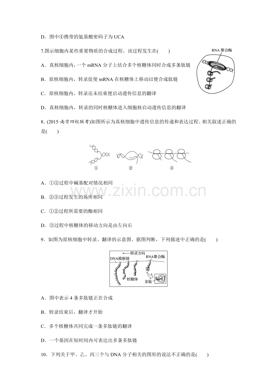 人教版必修二第四章第一节基因指导蛋白质的合成练习题(含答案解释).doc_第3页