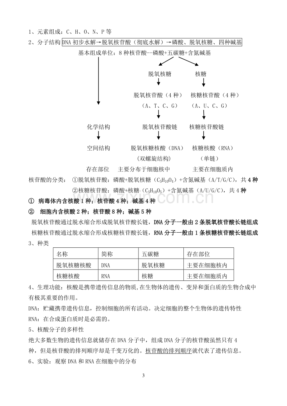 生物必修一第二章知识点总结.doc_第3页