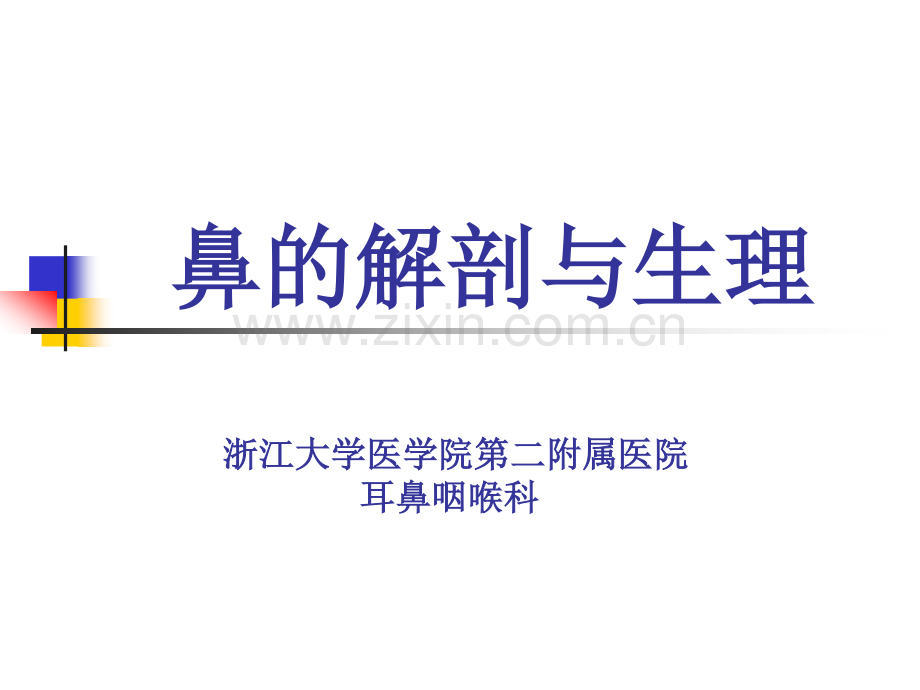 鼻的解剖与生理.pdf_第1页