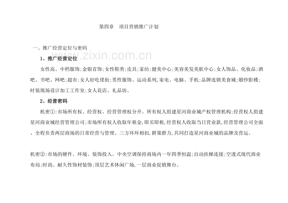 房地产公司星河商业城项目营销企划方案.doc_第2页