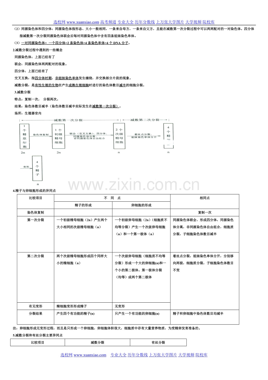 高中生物知识点整理大全-(2).pdf_第3页