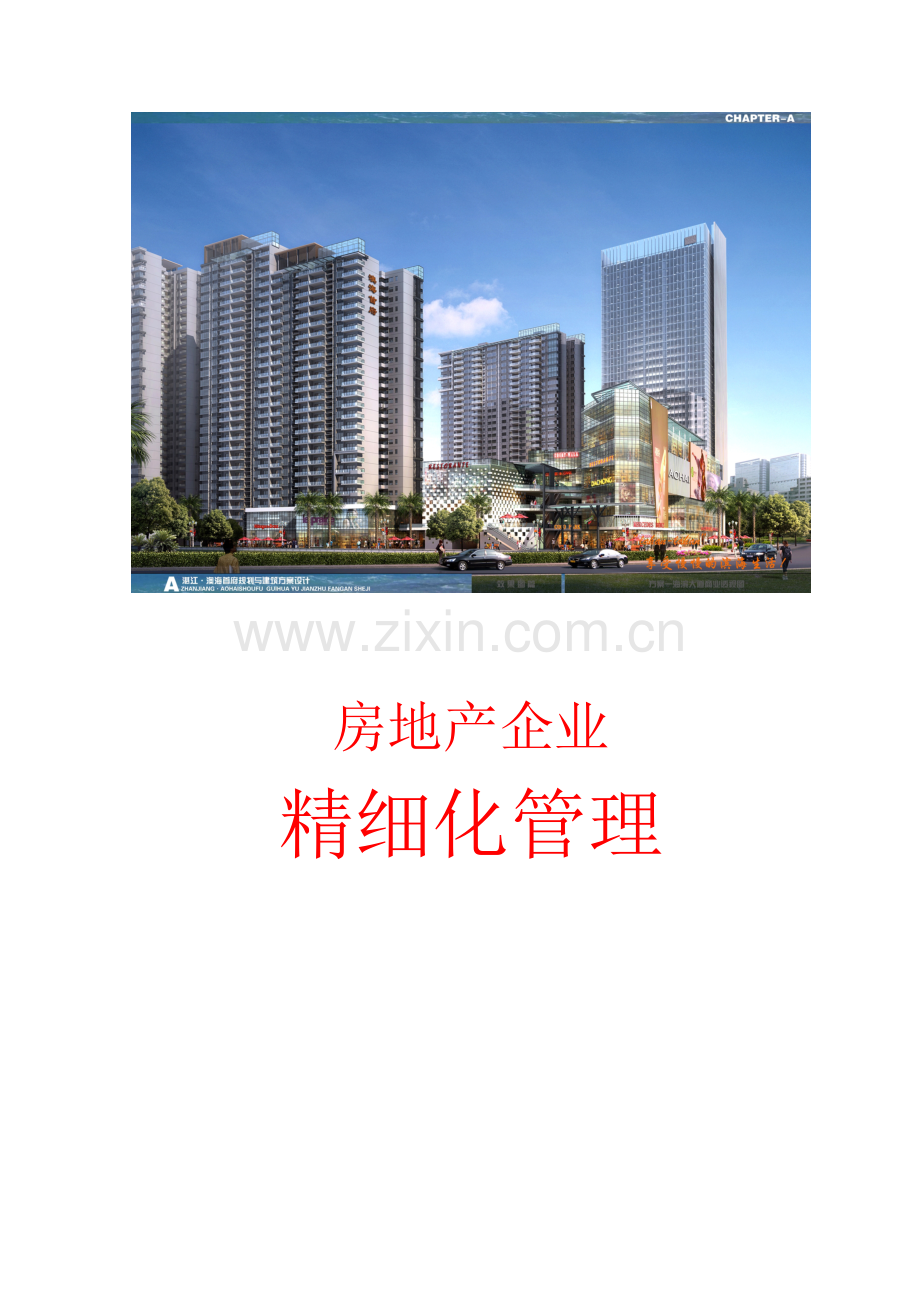 [专家解读]房地产企业-精细化管理指导手册(图表丰富).docx_第1页