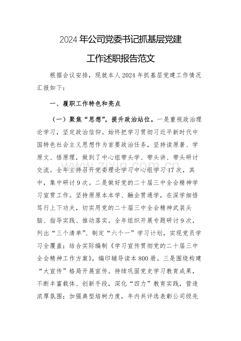 2024年公司党委书记抓基层党建工作述职报告范文.docx_第1页