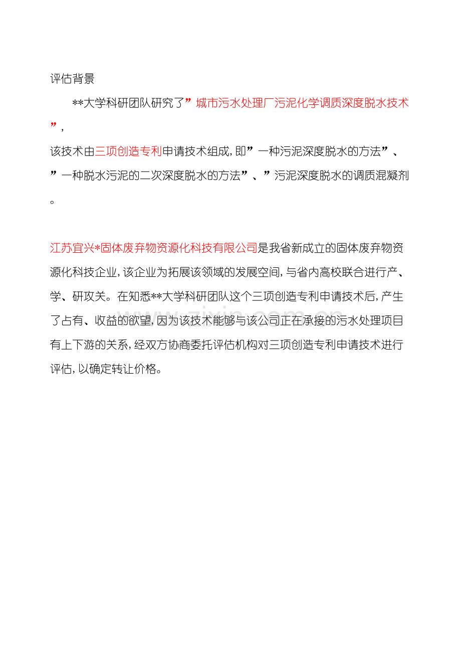 污泥焚烧技术无形资产评估报告.doc_第2页