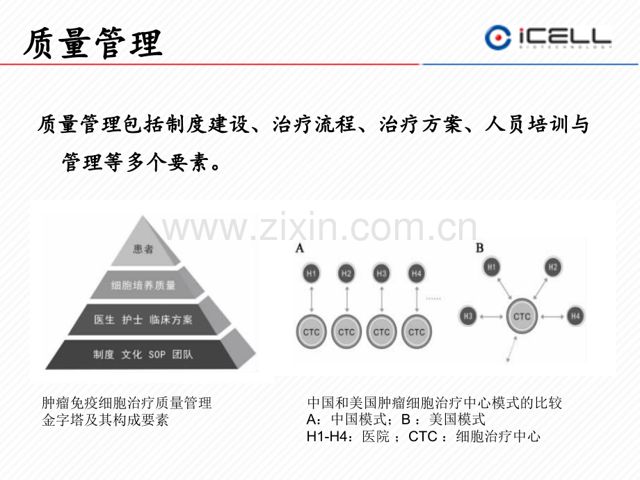 肿瘤免疫细胞治疗的质量管理和疗效评估优质PPT课件.ppt_第3页