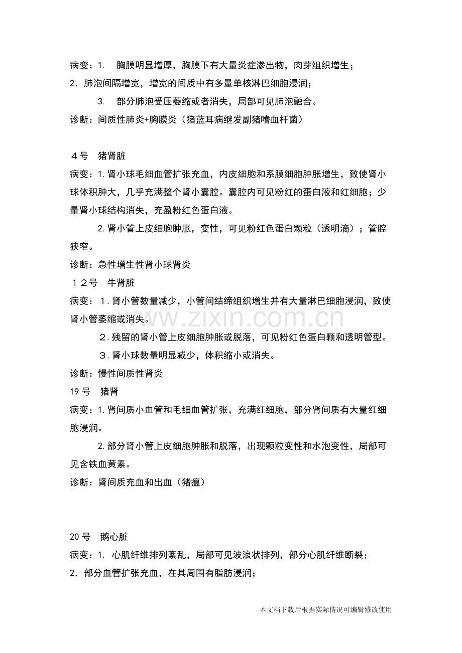 病理切片-共5页.pdf_第3页