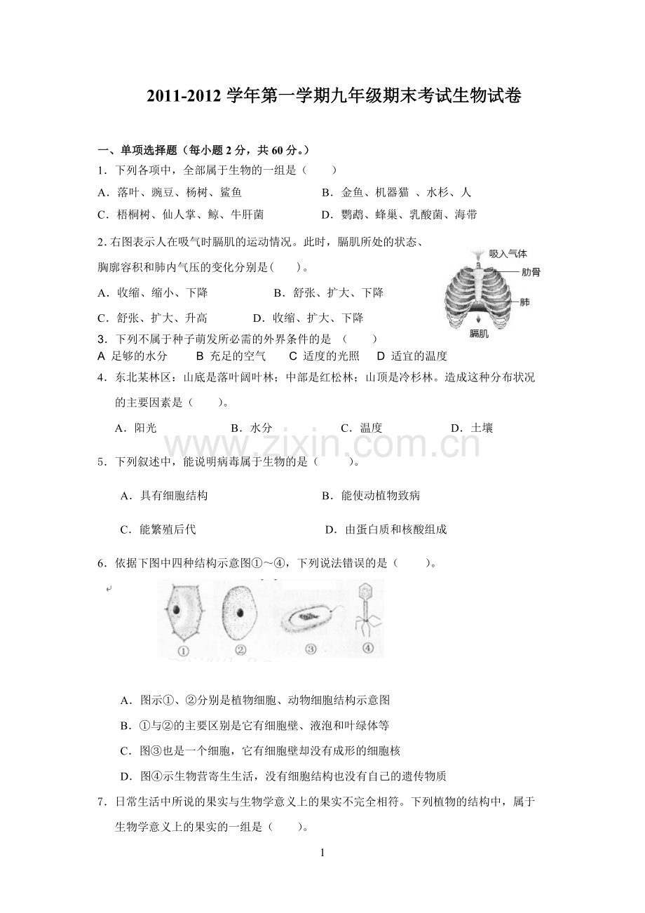 九年级上学期期末生物试题及答案.doc_第1页