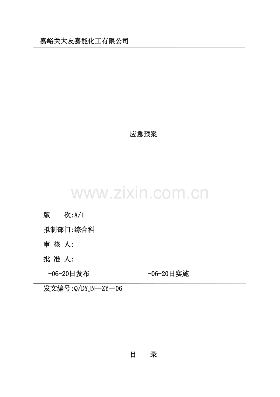 化工有限公司应急预案.doc_第2页