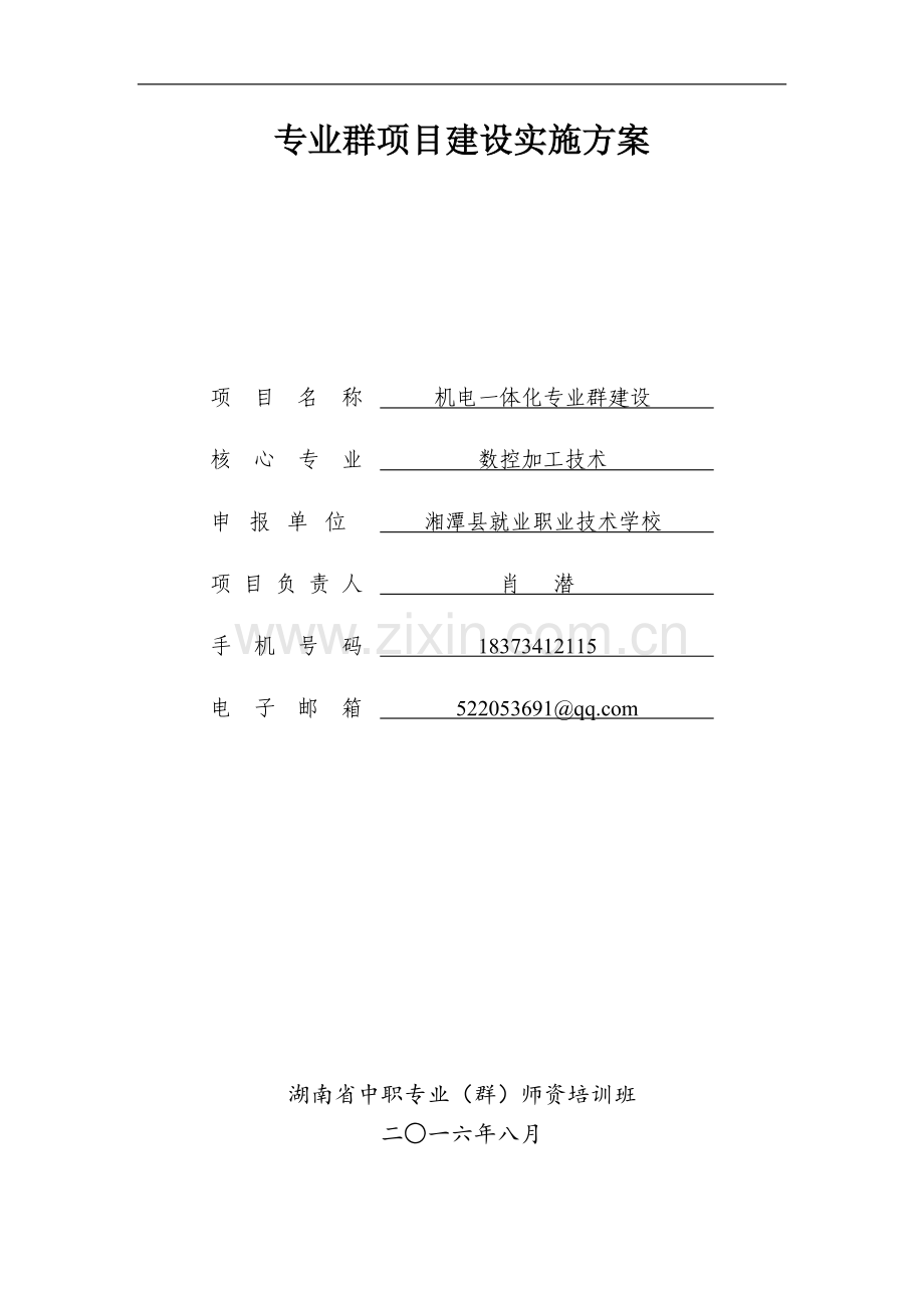 专业群项目建设实施方案.doc_第1页