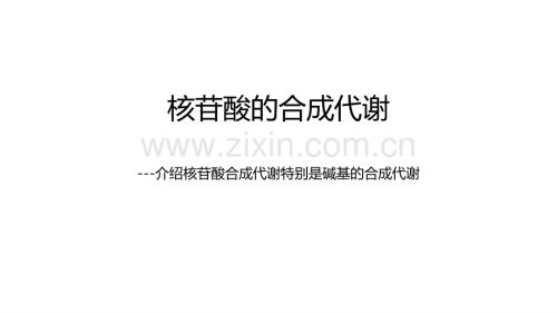 2-核苷酸合成代谢.pdf