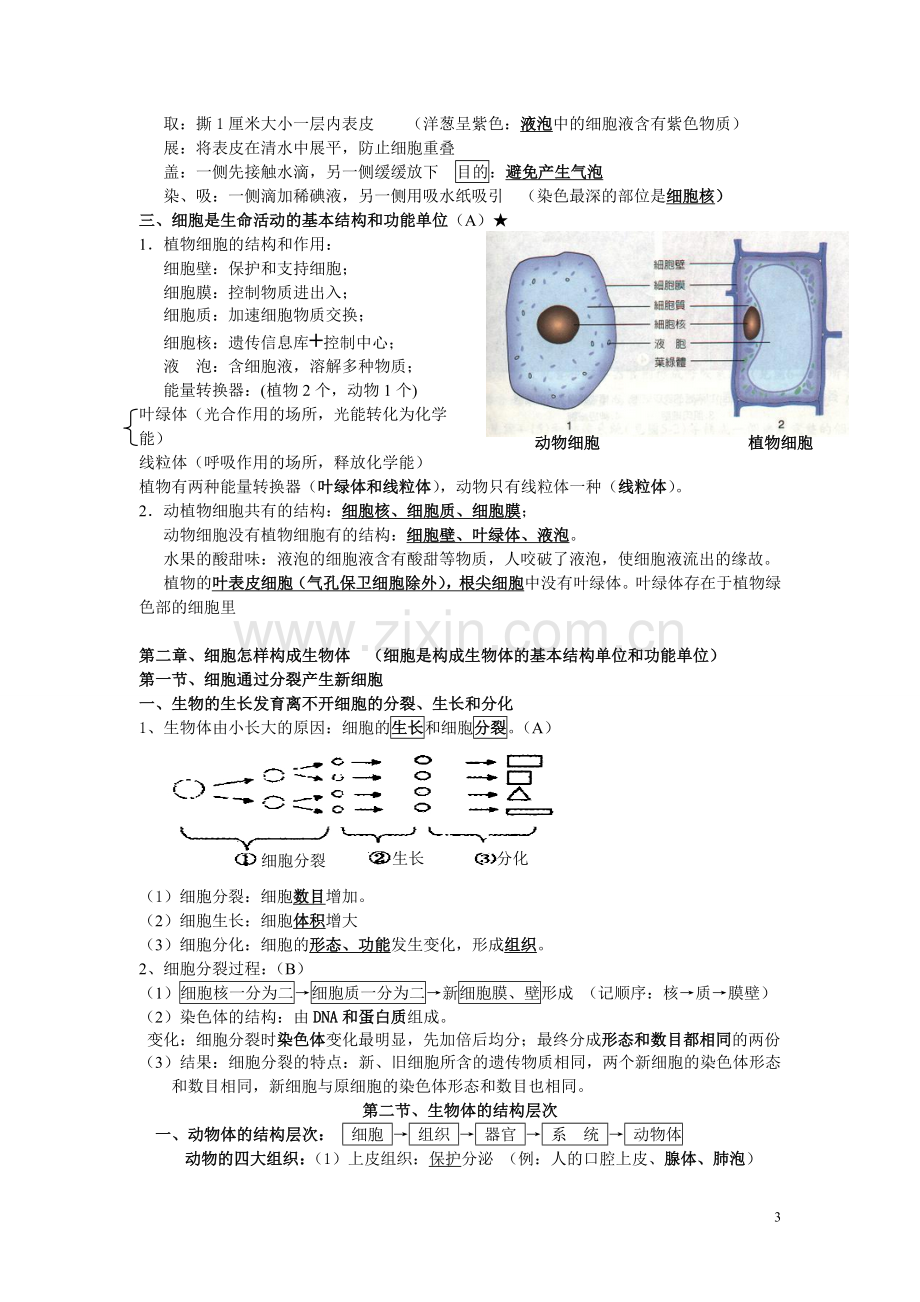 新人教版初中生物会考知识点复习资料(2).doc_第3页