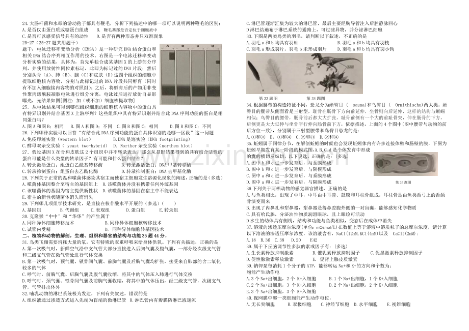 2019年全国中学生生物学联赛试题及答案(word精校版).doc_第2页